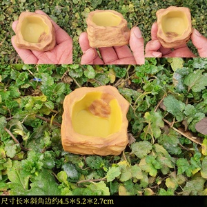 USMILEPET Bol et bassin d'eau en résine pour reptiles et amphibiens, gamelle et abreuvoir pour tortues, bols et mangeoires pour animaux de compagnie - Product Image 5