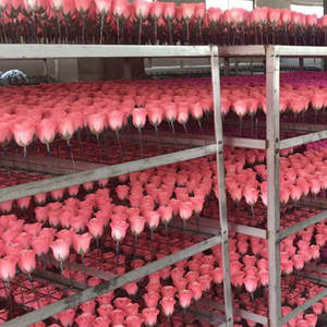 <span class=keywords><strong>Rose</strong></span> scintillante taille Honor avec tige, en mousse, à poudre dorée <span class=keywords><strong>d</strong></span>égradée, pour bouquet <span class=keywords><strong>de</strong></span> mariée DIY, <span class=keywords><strong>d</strong></span>écoration <span class=keywords><strong>de</strong></span> fête et <span class=keywords><strong>de</strong></span> mariage, directement <span class=keywords><strong>de</strong></span> l'usine - Product Image 6