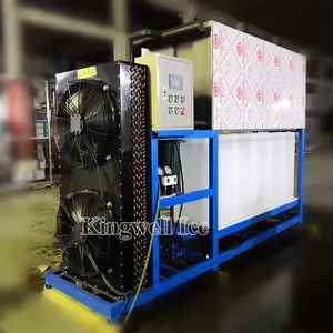 Ice Block Making Machine Congelamento Seafood Block Ice Making Machine Fabricante