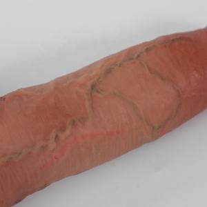 Groothandel Siliconen Kunstmatige Penis Insert 4.92 Inch Leven Als Aderen En Ribbels Vrouwelijke Masturbatie Realistische Dildo Voor Vrouwen - Product Image 4