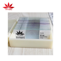 Best-selling 20 bacterial microscope slides for education supplies