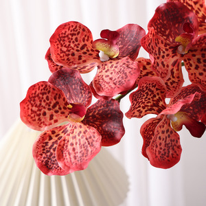 Nuovi Arrivi: Grandi Fiori Artificiali di Orchidea, 7 Teste, Effetto Realistico, Alta Simulazione, Design <span class=keywords><strong>Vanda</strong></span> Fatto a Mano, per San Valentino e Capodanno - Product Image 4