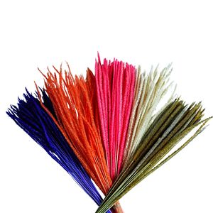 Nouveau magasin ouvert coloré Setaria <span class=keywords><strong>Pumila</strong></span> conservé fleurs d'herbe Kirin véritable eucalyptus licorne séché naturel en gros - Product Image 5