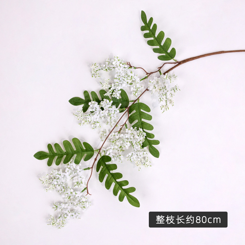 [1 pièce] Fleur blanche de Sophora japonica - 80