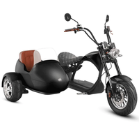 Scooter électrique à trois roues pour adultes avec side-car, design pliable, étanche, navigation GPS