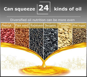 Machine de presse à huile de cuisine Machine de presse à chaud pour les petites entreprises - Product Image 6