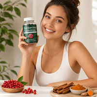 Gummies de Berbérine, Cannelle de Ceylan et Curcuma pour Adultes : Gestion Métabolique, Antioxydant, Soutien Digestif – Vente en Gros, Marque Privée, OEM