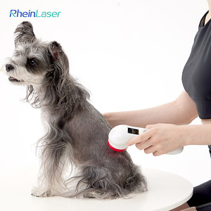 थोक जानवर दर्द 808nm 650nm डायोड लेजर थेरेपी मशीन फिजियोथेरेपी रिहैबिलिटेशन के लिए लेजर डिवाइस - Product Image 5