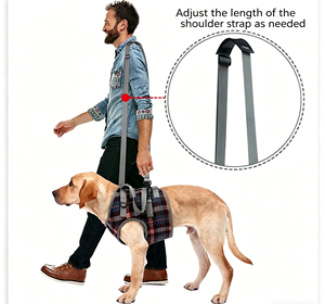 Harnais de Soutien pour Patte Arrière de <span class=keywords><strong>Chien</strong></span> - Sangle de Protection pour <span class=keywords><strong>Chien</strong></span> Handicapé ou Blessé - Sangle d'Assistance pour <span class=keywords><strong>Chien</strong></span> Âgé - Product Image 5
