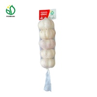 Fournisseur chinois de nouvelle récolte d'ail frais à bas prix pour la vente sur le marché colombien/chilien