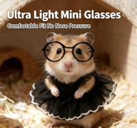 Accessoires de déguisement pour petits animaux : Jupe pour hamster syrien, lunettes pour animaux de compagnie, accessoires de déguisement pour petits animaux, fournitures pour animaux de compagnie en gros - Vente chaude