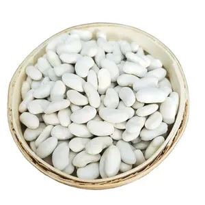 Long shape Dry beans White Beans wholesale Price White Pea Beans with good quality