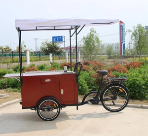Vélo de livraison de nourriture de rue à 3 roues avec réfrigérateur, chariot de crêpes de restauration rapide, trike, tricycle, chariot à vendre, voyage, <span class=keywords><strong>camping</strong></span>, <span class=keywords><strong>camping</strong></span>-car - Product Image 2