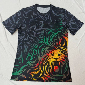 Kamerun Nationalmannschaft Erwachsenen-Fußballtrikot Individuell Angepasst Großhandel Fußballtrikot Maillot De Foot Algerie Côte d'Ivoire Marokko - Product Image 2