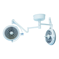 Lampe d'opération chirurgicale vétérinaire LED 700/500 Source d'alimentation électrique sans ombre Equipement médical Plastique Métal pour vétérinaire
