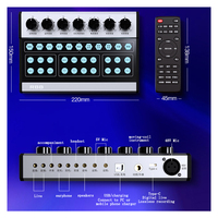 Externe USB-Soundkarte Profession elle Live-Geräte verlustfreie Aufnahme Mehrere Soundeffekte Drahtlose Mikrofon-Soundkarte