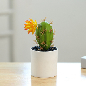 Mini <span class=keywords><strong>Cactus</strong></span> Bonsai <span class=keywords><strong>de</strong></span> alta calidad, planta en maceta Artificial verde para decoración <span class=keywords><strong>de</strong></span> oficina, flores y plantas decorativas - Product Image 3