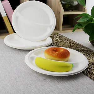 Bộ Đồ Ăn Nhiều Màu Sugarcane 2 Ngăn Bagasse Plate