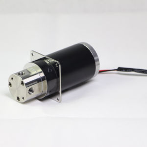 ปั๊มน้ำร้อนไฟฟ้าขนาดเล็ก 3 ลิตร ดีไซน์ดี ราคาประหยัด DC24V 50W ผลิตจากสแตนเลส 316 พร้อมหัวปั๊มแบบแม่เหล็ก - Product Image 1