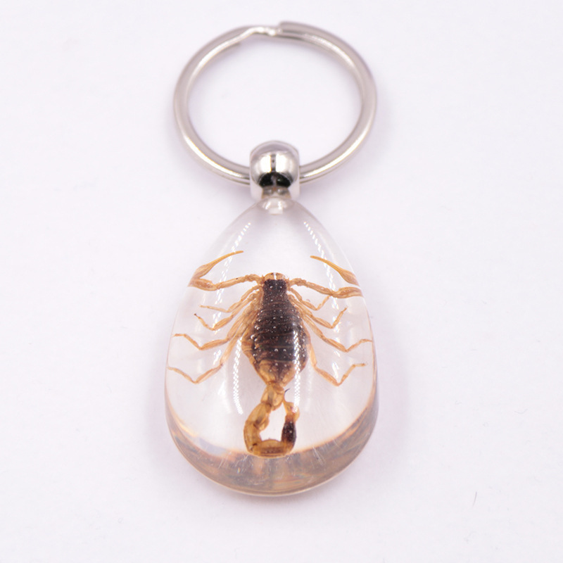 Real Insect In Resin Keychain - Clear Scorpion, Beetle, Or Hornet Lucky Charm