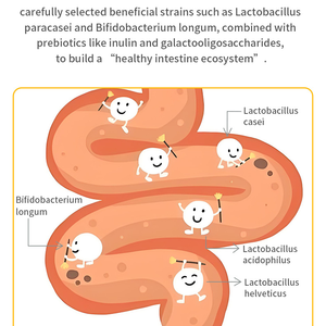 <span class=keywords><strong>Dr</strong></span>. Isolfan Cacaoboter 2026 Klein Hoogwaardig Goedkoop Zwarte Snack Private Label Prebiotische Peptide Collageen Chocolade voor Mannen - Product Image 4