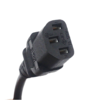 Câbles Alimentation directe avec bornes de terre CL-406 + CL-712 2P PLUG 3P SOCKET LONGUEUR DE CÂBLE 2 m nominale