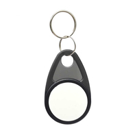 Vente en gros de porte-clés RFID NFC personnalisés 13,56 MHz en ABS avec logo, mini porte-clés vierges 125 kHz, fabrication de porte-clés