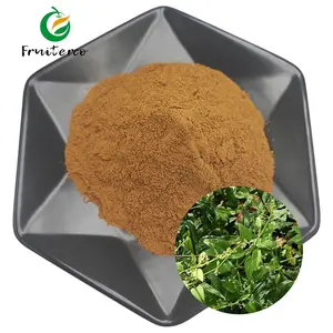 Factory Supply Plant Rubia Tinctorum Extract Madder Root Extract Powder