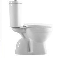 WC intelligent avec réservoir intégré et lavabo, toilette sanitaire de luxe à double chasse, couleur mate, électroplaqué