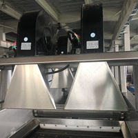 Machine de séchage de tambour automatique LWT personnalisée, contrôlée par PLC, avec moteur, pour la transformation alimentaire des fruits et légumes en sacs