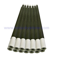 Dumbell Straight U M Shape Silicon Carbide  Facteur de chauffage en carbure de silicium en forme de U et en forme de M pour four de fusion pour essais à la flamme