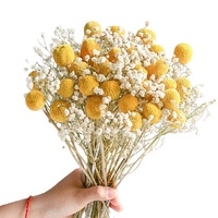 Vente en gros : Magnifiques boules dorées vintage pour la décoration intérieure, fleurs séchées naturelles pour mariage, remise de diplôme, Noël, fête des Mères