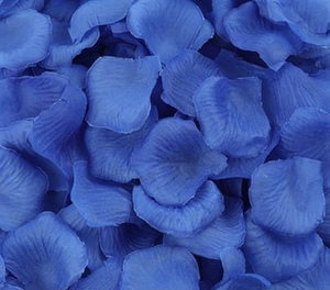 <span class=keywords><strong>Tinte</strong></span> disperso Liqian azul ACE en polvo, <span class=keywords><strong>tinte</strong></span> brillante azul para telas CAS 2475-45-8 - Product Image 5