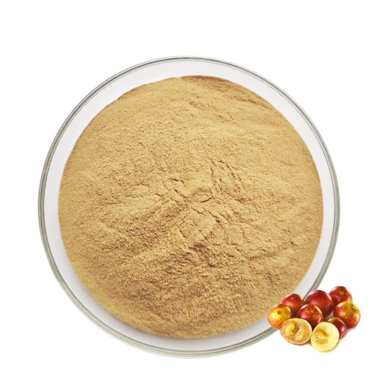 HONGDA поставка Camu порошок высокого VC Camu фруктовый экстракт порошок Camu экстракт