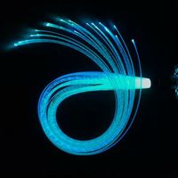 Prix Usine – Guide de Lumière en Fibre Optique LED en PMMA 0,75 mm/1,0 mm, Étanche IP68, Télécommande, Léger, Idéal pour Éclairage de Fête