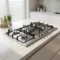 Kompor Gas Tanam 5 Tungku Stainless Steel untuk Rumah Tangga, Peralatan Dapur, Penghisap Asap