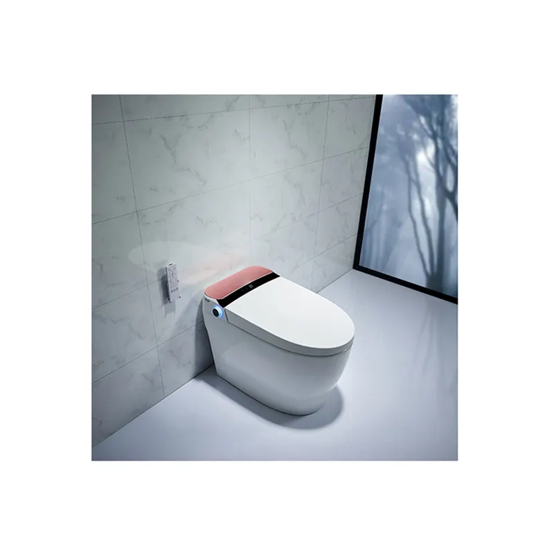 New products elegant elongated one piece tuvalet watermark luxury smart electronic bidet toilet good price