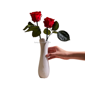 Cadeau de la Saint-Valentin VASE À BOUTON ÉTROIT EN PORCELAINE Rose <span class=keywords><strong>éternelle</strong></span> à longue tige <span class=keywords><strong>éternelle</strong></span> Fleur préservée - Product Image 2