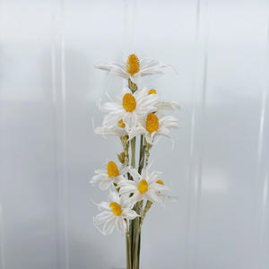 Petites fleurs de marguerite séchées naturelles, décorations de mariage bohèmes faites à la main, orchidées artificielles conservées, décorations de fête de Noël - Product Image 5