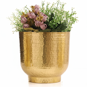 Nouveau design élégant pour arroser et arroser pour hydrater et décorer votre jardin ou votre maison Pots de fleurs et jardinières - Product Image 1