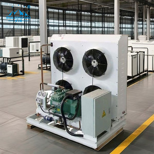 Cámara Frigorífica con Motor Copeland para Almacenamiento en Frío de Productos Frescos, Frutas, Verduras y Productos Agrícolas - Product Image 5