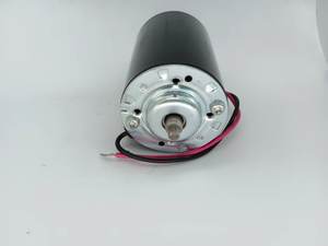 Bajo ruido 100W 230V 50/60Hz Vibrador Micro <span class=keywords><strong>Motor</strong></span> 24V DC <span class=keywords><strong>Motor</strong></span> para Massar y Rolling para OEM ODM de China Factory - Product Image 6