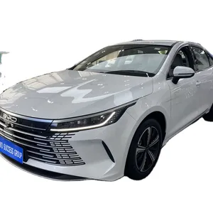 2023 New Energy Power Vehicle Save Electricity Car Export Electricity Car