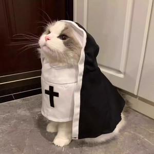 <span class=keywords><strong>Monja</strong></span> mascota disfraz <span class=keywords><strong>de</strong></span> Halloween gatito Cosplay traje <span class=keywords><strong>de</strong></span> transformación perro pequeño Internet celebridad foto divertido peculiar poliéster - Product Image 2