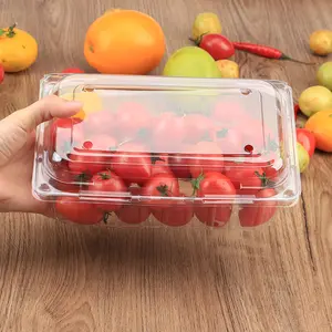 Récipient de nourriture Compostable à emporter-boîte d'emballage en plastique transparent pour légumes/fruits/salade