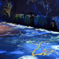 Projecteur d'affichage holographique 3D immersif, écran de projection, jeux interactifs muraux, taille personnalisée, plusieurs joueurs, salle à manger