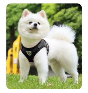 Ajustável Puppy Dog Vest Collar Luzes Reflexivas XS-XL Cat Kitten <span class=keywords><strong>Harness</strong></span> Pet Outdoor Walking Leash <span class=keywords><strong>Rabbit</strong></span> Collar Rope - Product Image 2