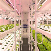 Système de transport hydroponique, NFT vertical, pour agriculture