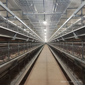 Nuova Gabbia Automatica per Pulcini QM YC-19 Tipo H, per Allevamento di Pulcini di un Giorno, Quaglie e Uccelli, Capacità 90-200, Garanzia 1 Anno - Product Image 3