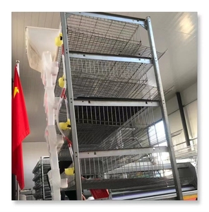 Lồng Chim Cút Tự Động Với Bộ Sưu Tập Hệ Thống Trứng Cút Tự Động Cho 100000 Chim Cút - Product Image 1